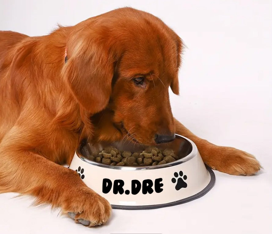 Cuenco para perros personalizado